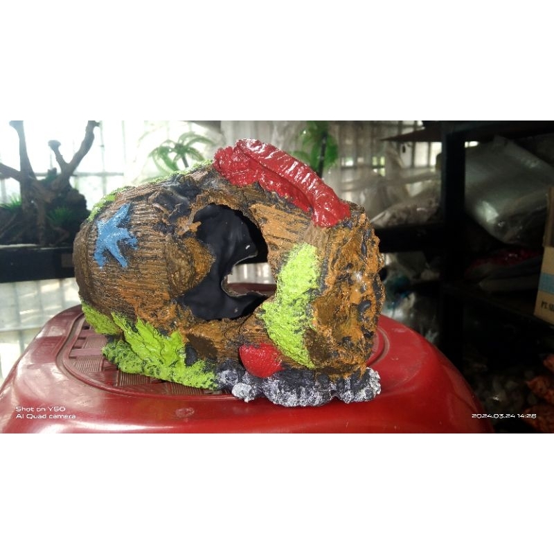 HIASAN AQUARIUM TONG/MAINAN GENTONG AQUARIUM/MAINAN TONG/HIASAN FIBER