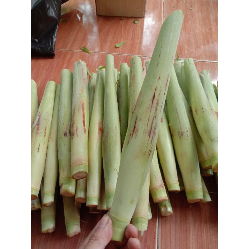 

Turubuk Sayur/Tebu Telur Segar 1 KG