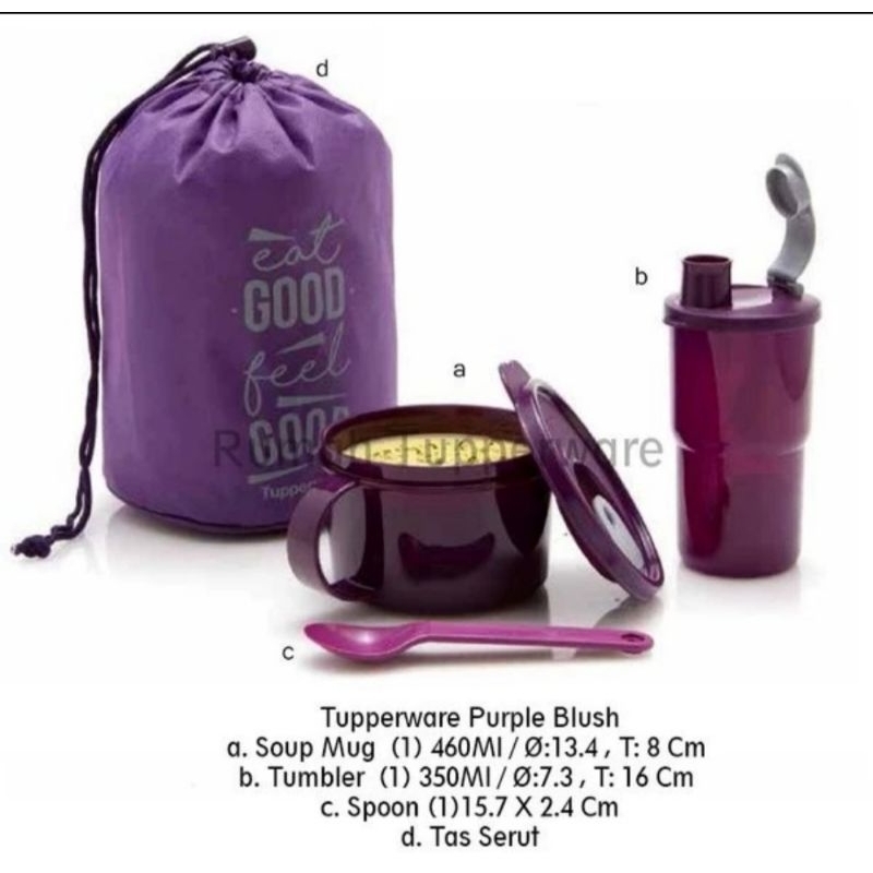 Tupperware purple Blush (new)