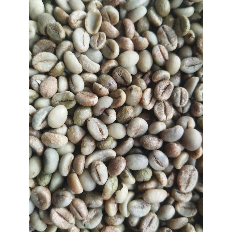 

Green Bean Robusta Sidikalang