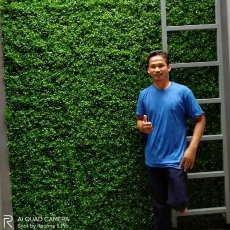 FDp DAUN RAMBAT DOLAR DAUN SINTETIS 4X6 CM DAUN PLASTIK TANAMAN SINTETIS TANAMAN DINDING RUMPUT DIND