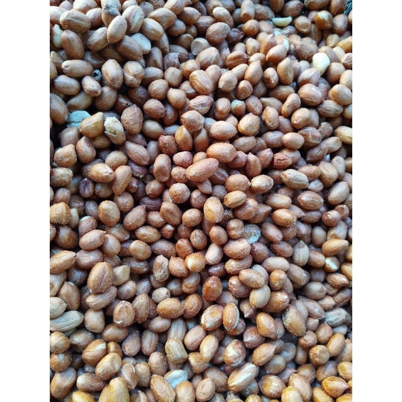 

kacang tanah impor 1 kg