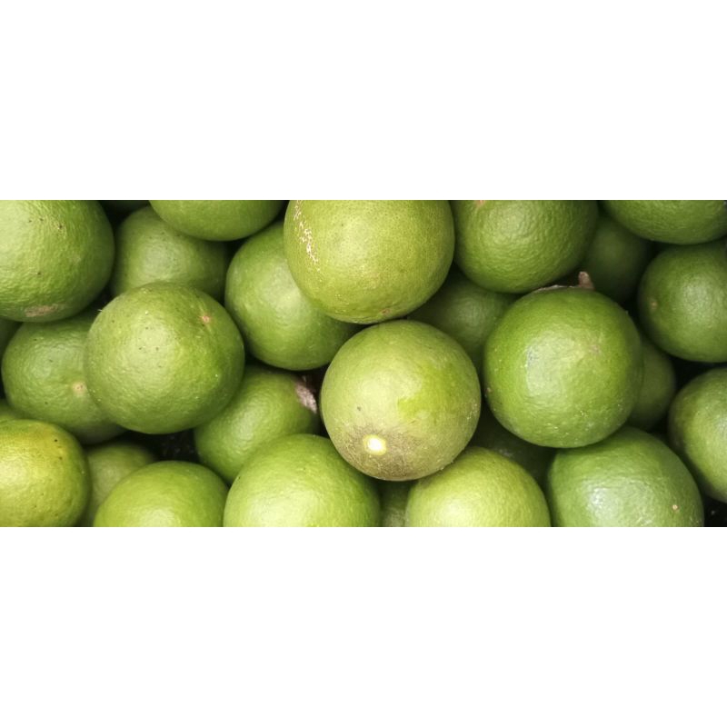 

Jeruk Nipis Segar 1 kg