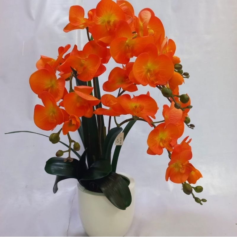 rangkaian anggrek jumbo latex premium import