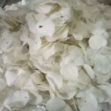 

opaksingkong//oleholehwonosobo//opakkoin//opakwonosobo//krupuksingkong