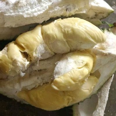 

Durian Kuro (premium)