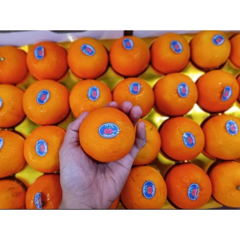 

jeruk wogan royal dus isi 8kg / jeruk wogan premium 1 dus isi 8kg