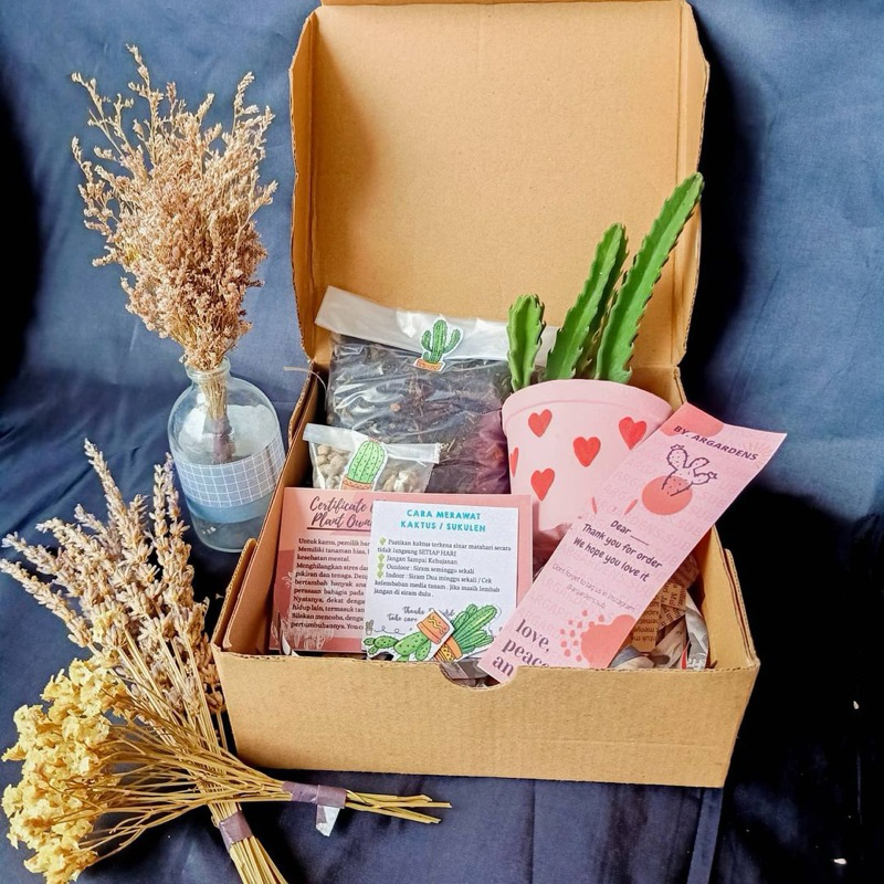 Hampers kaktus sukulen / souvenir kaktus sukulen