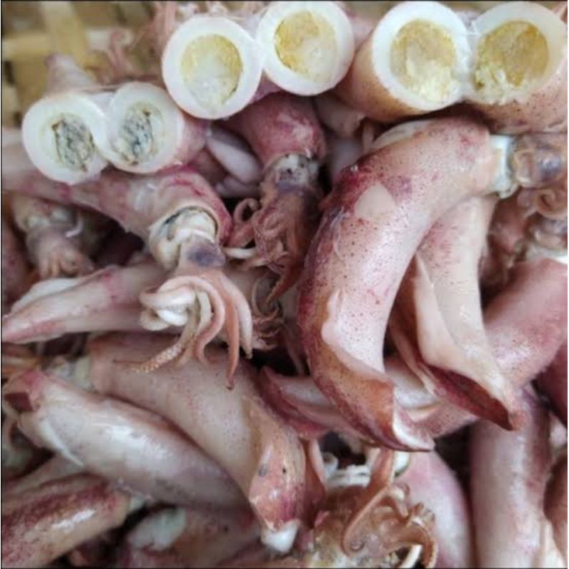 

cumi asin/kering jumbo