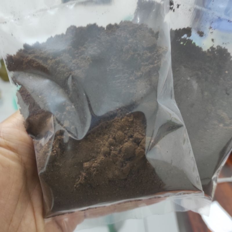 

Kopi Ama robusta lereng gunung Slamet Purbalingga