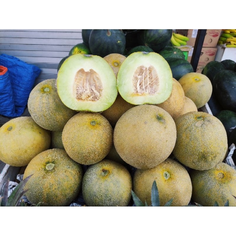 

Melon Madu