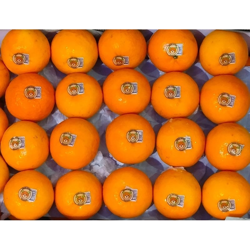 

orange wokam premium