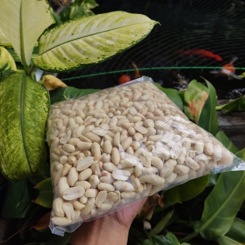 

Kacang Plecet Kupas Super 250 gram