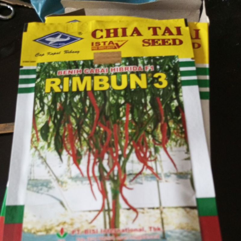 benih cabai hibrida f1. rimbun 3