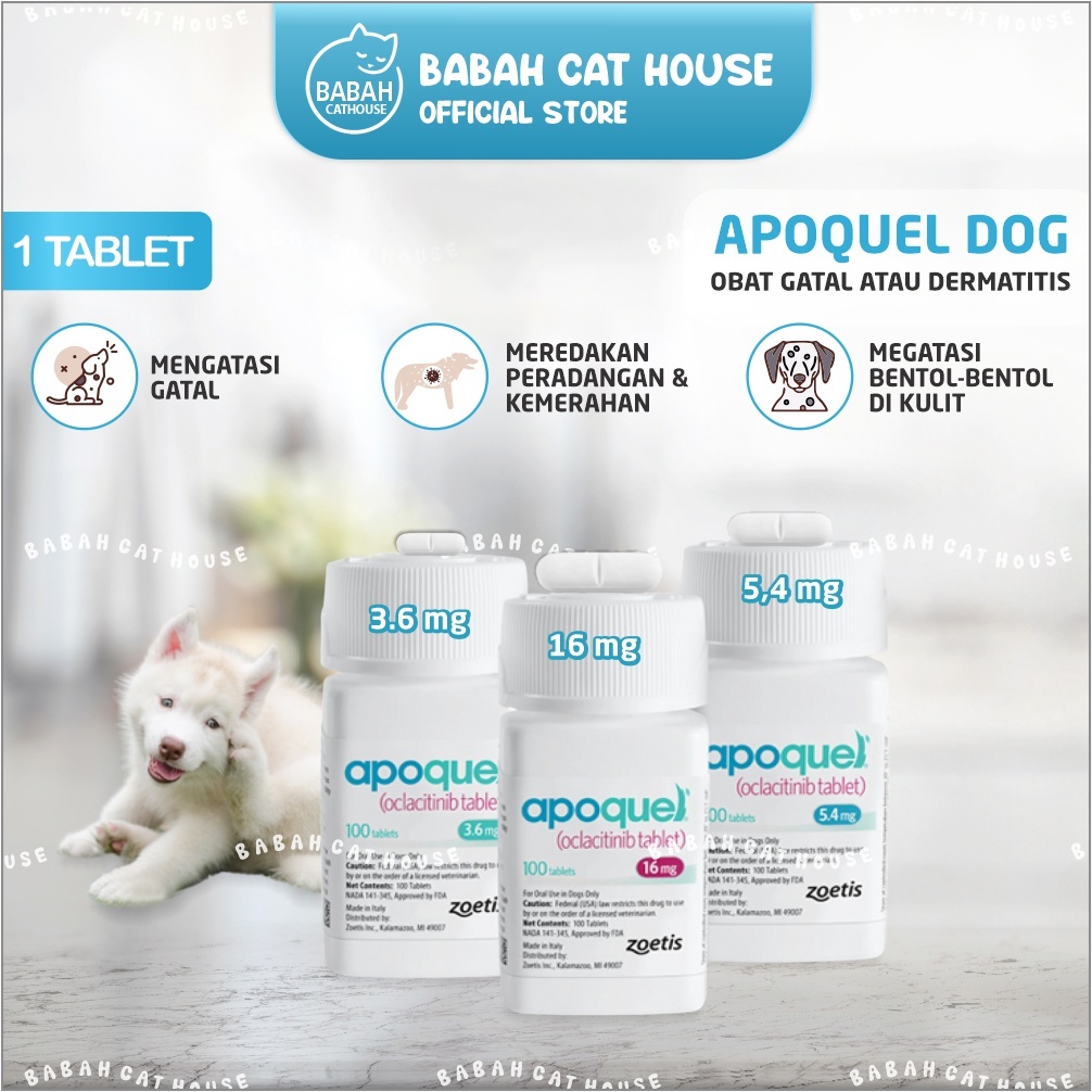 Ratoo 1 Tablet Apoquel Obat Anti Gatal Eksim Radang Kulit Anjing Alergi Dewasa Ampuh Demodek Demodex