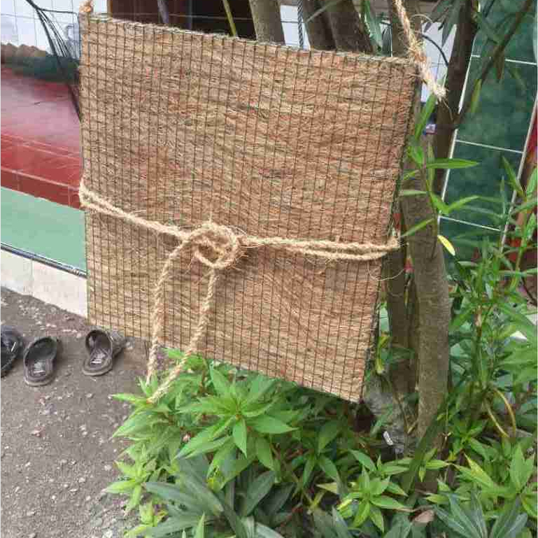 TERMURAH... media tempel anggrek papan sabut kelapa jumbo 40×40cm (cocogreen)