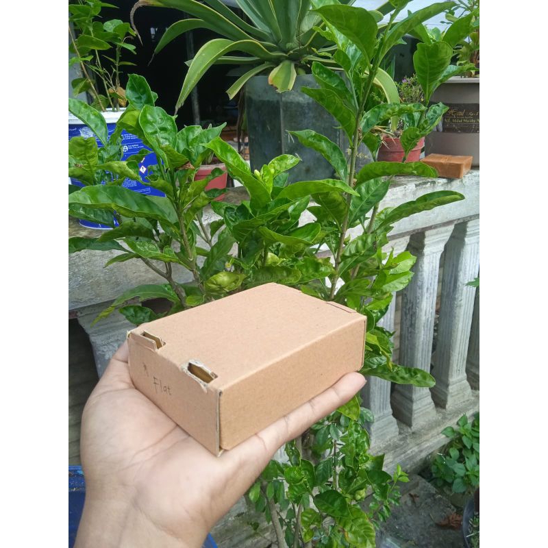 

dus packing ukuran 6×3×5
