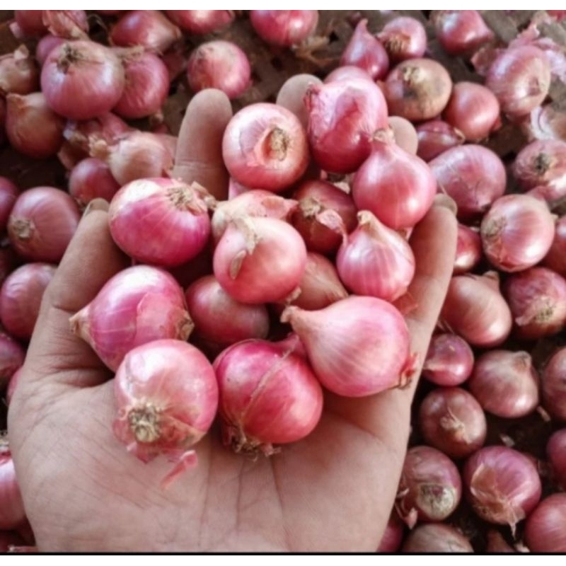 

BAWANG MERAH SUPER,100gr, ukuran sedang,