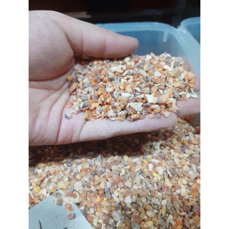 

kemenyan beras merah