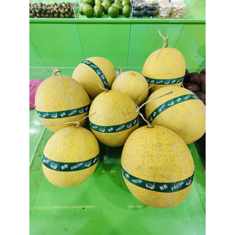 

Melon Intanon