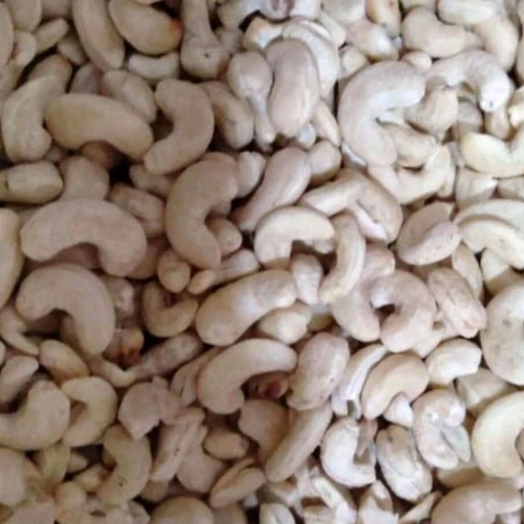 

KACANG MEDE UTUH MENTAH 1KG