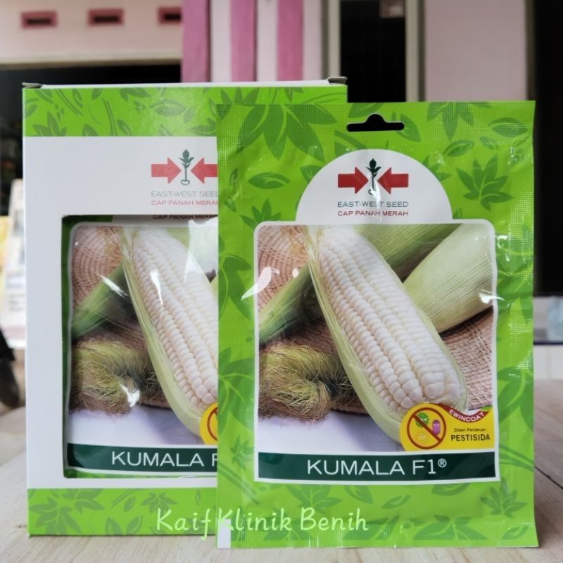 Benih Jagung Ketan KUMALA F1 Isi 200 Butir - Jagung Pulut / Jagung Ketan Kumala Kemasan Small Pouch 
