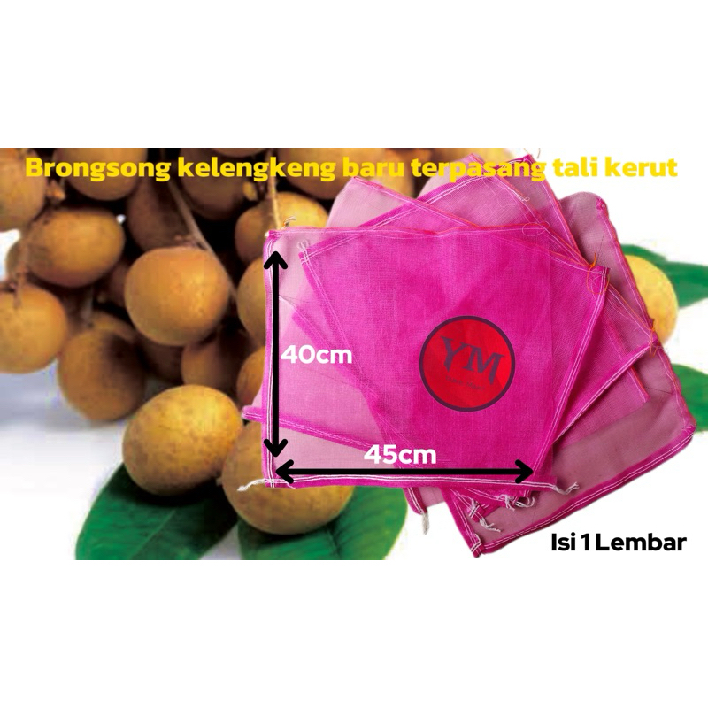 Brongsong kelengkeng 45x40 baru+tali (KSTB)