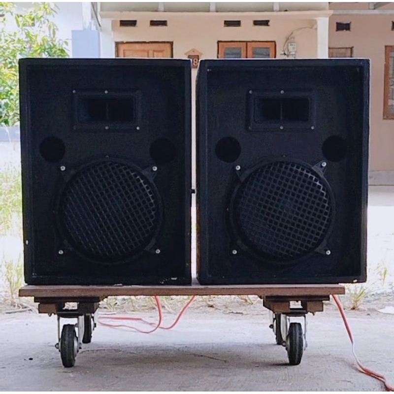 BOX SPEAKER SINGLE TWEETER 10 inch