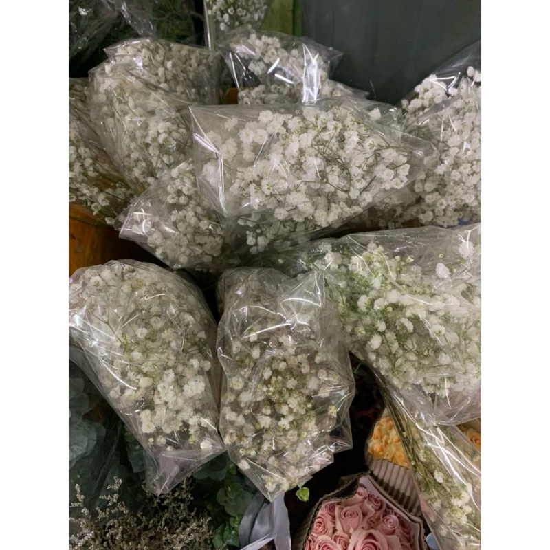 bunga babybreath fresh 1 pack - bellisima florist bogor