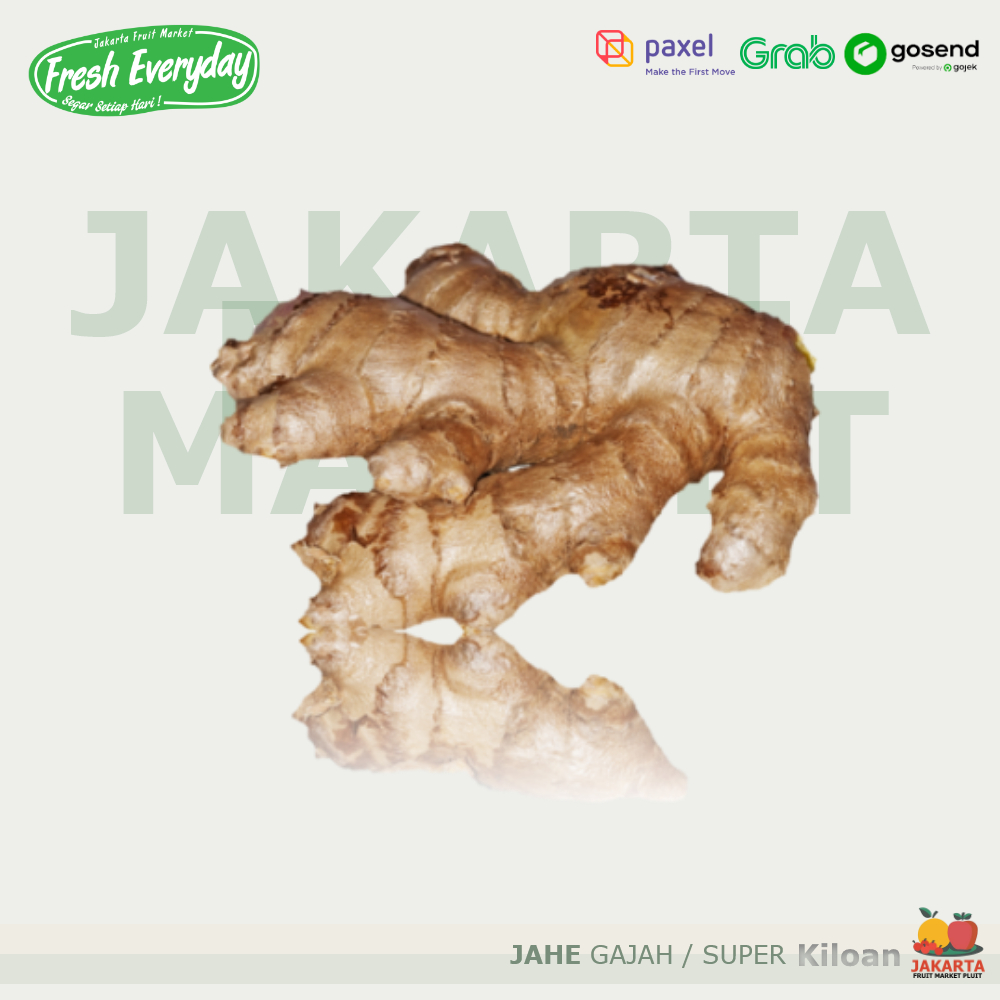 

JAHE GAJAH / SUPER Sayur Rempah Fresh / Pack & Kiloan