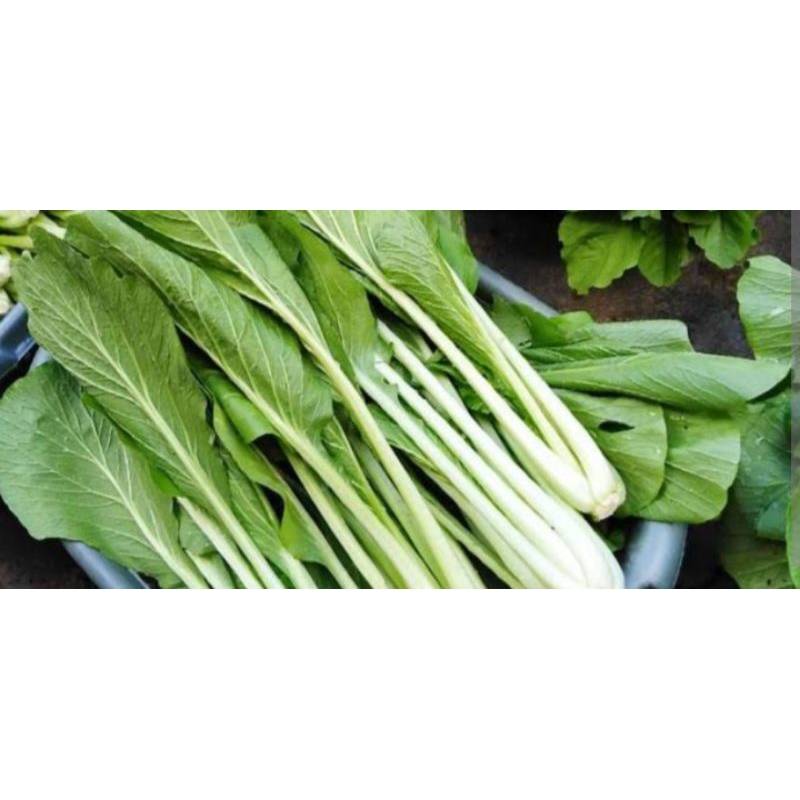 

cesim hijau/ sawi sayur 250grm