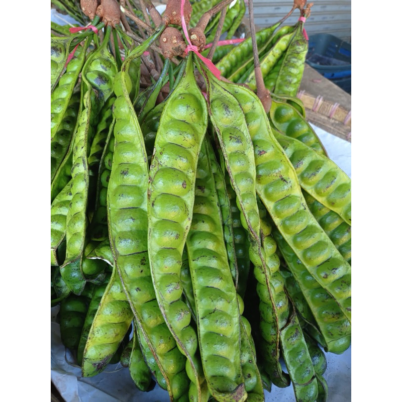 

Pete fresh Per Papan