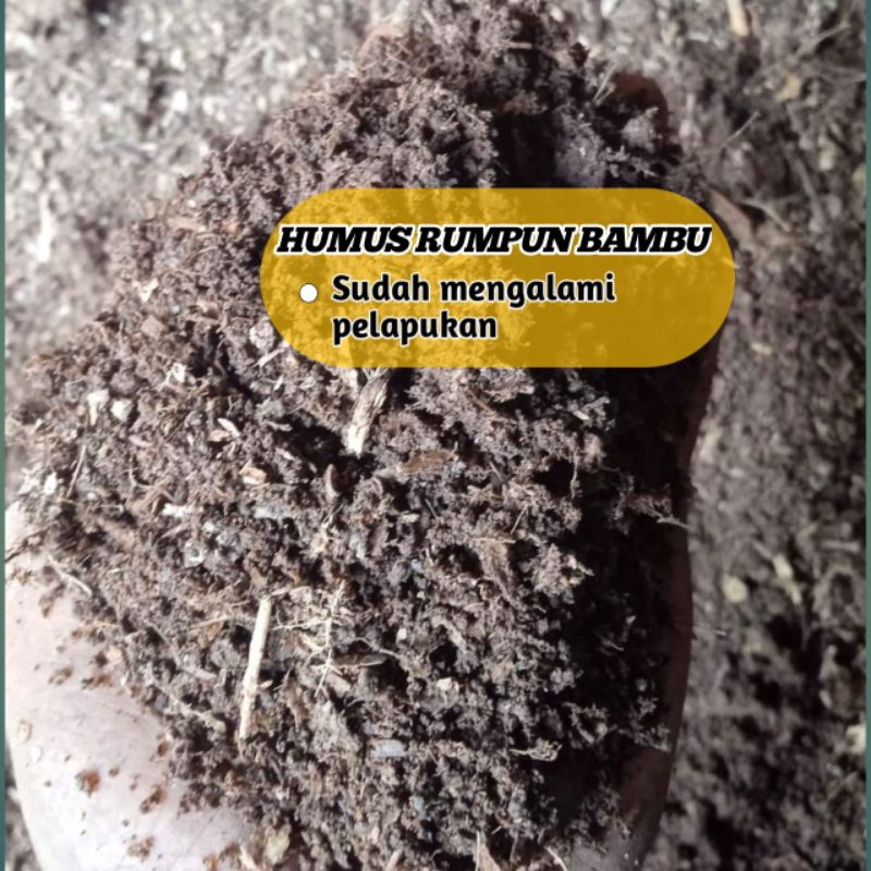 Humus Akar Bambu / Rumpun Bambu 1kg Siap Pakai