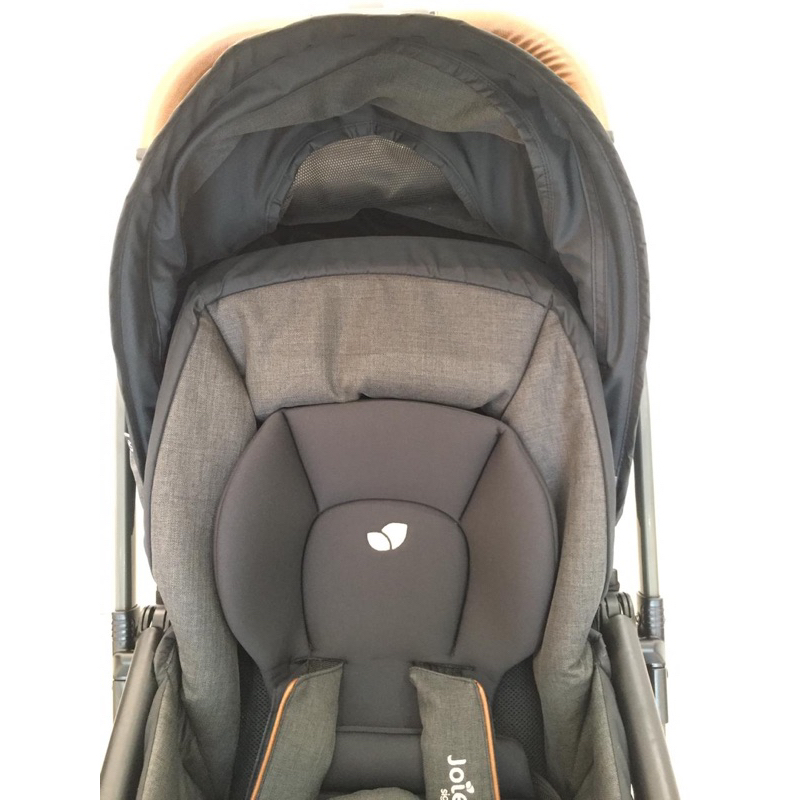 Joie Mirus Signature Preloved