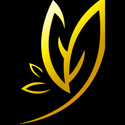 Bibit Jeruk Santang madu sudah Berbuah Besar