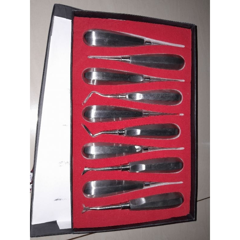 Dental Bein Set Isi 10 Root Elevator Luxator Cryer Alat Instrumen