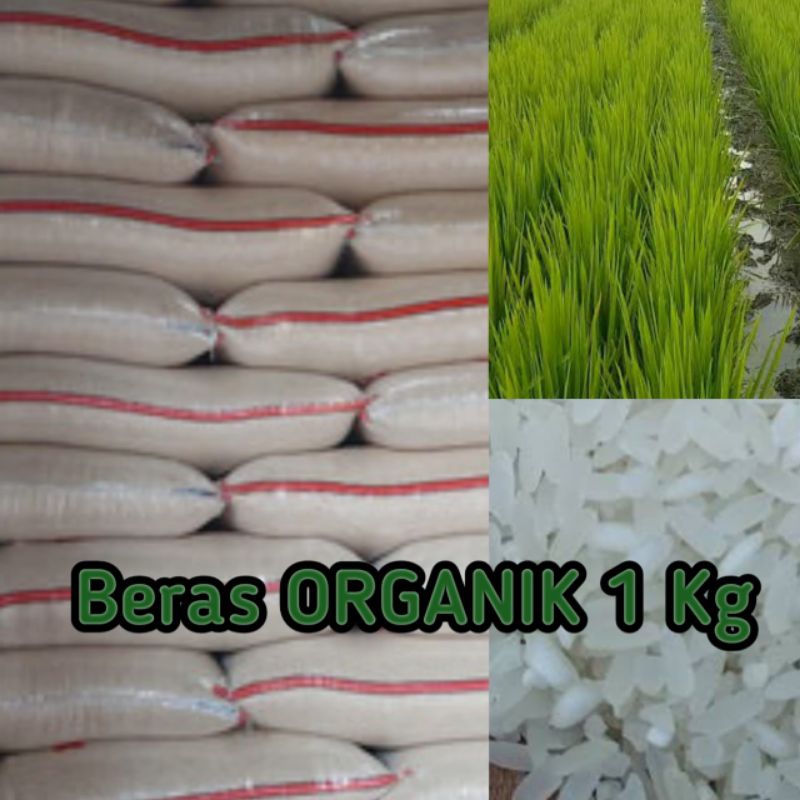 

Beras Organik 1kg