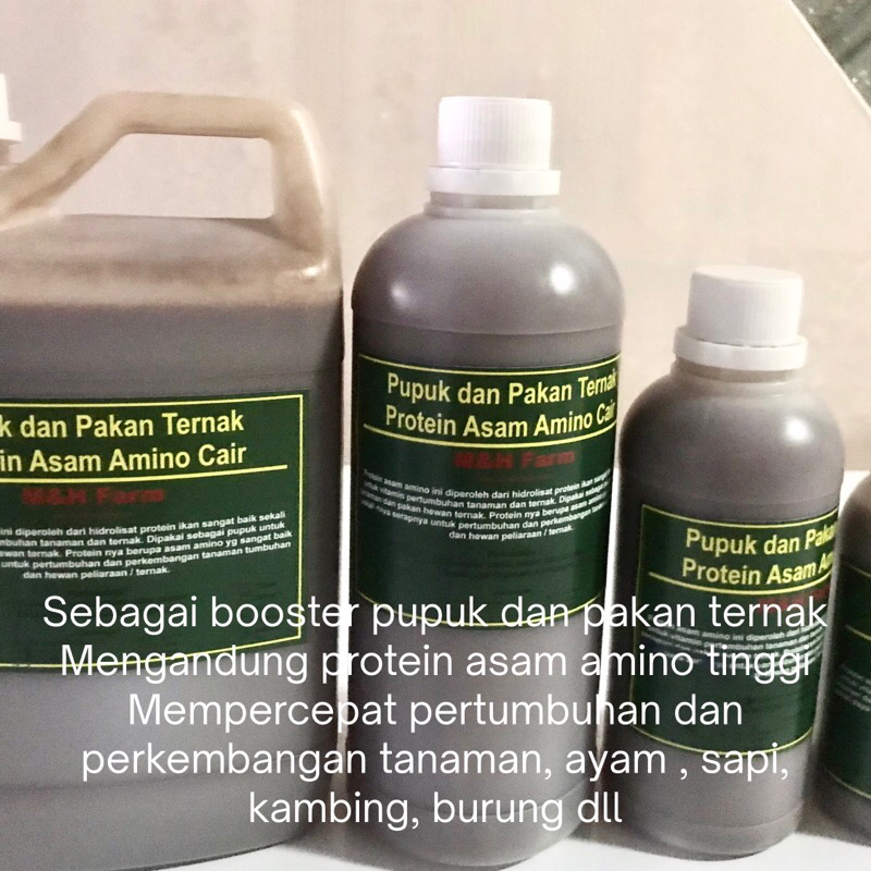 Protein Asam Amino Cair