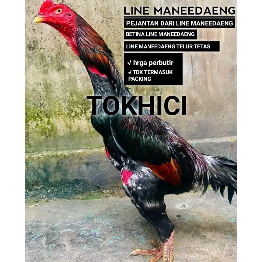 telur ayam bangkok super line maneedaeng perbutir