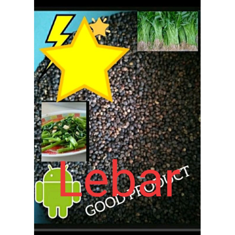 

BIJI KANGKUNG BAGUS KEMAS 1KG( daun lebar)