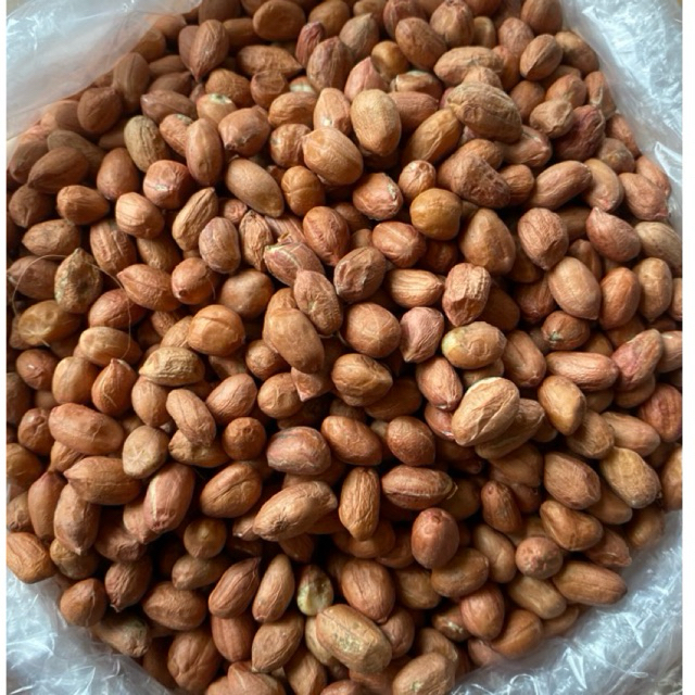 

Kacang Tanah Import India Grade A