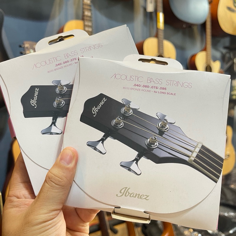 Senar gitar bass Akustik Ibanez 4095