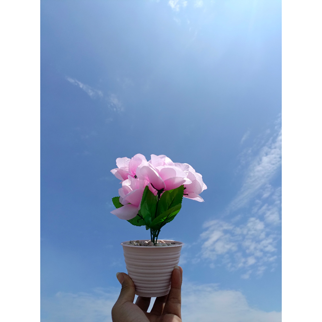 BUNGA POT MAWAR HIASAN MEJA
