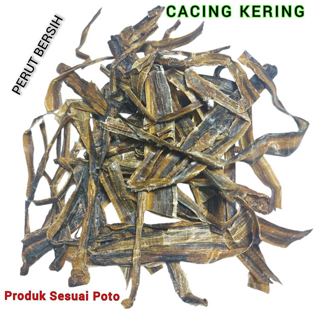 

50 gram - Cacing Tanah Kering 地龙干 Dilong / Di Long - Lumbricus Rubellus / Obat Typus / Tipus Tipes