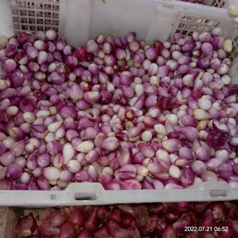 

Bawang Merah Kupas 100gr