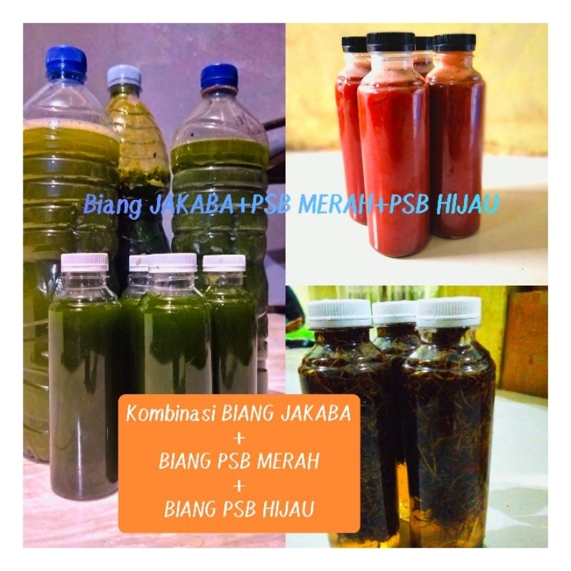 Biang Jamur JAKABA + BIANG PSB MERAH +BIANG PSB HIJAU