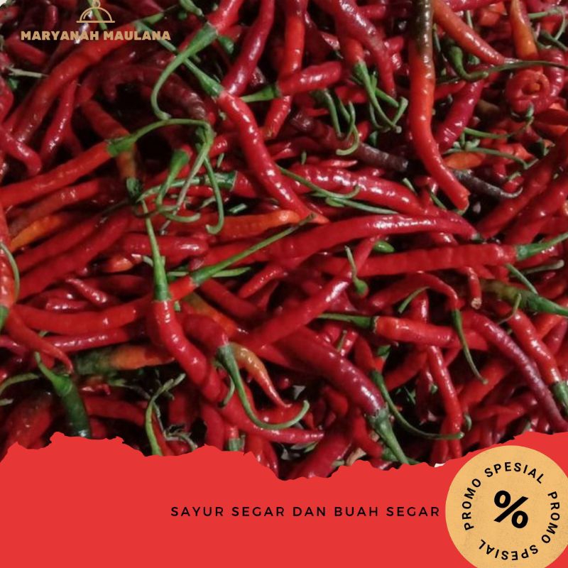 

cabe cabai merah keriting 100gr