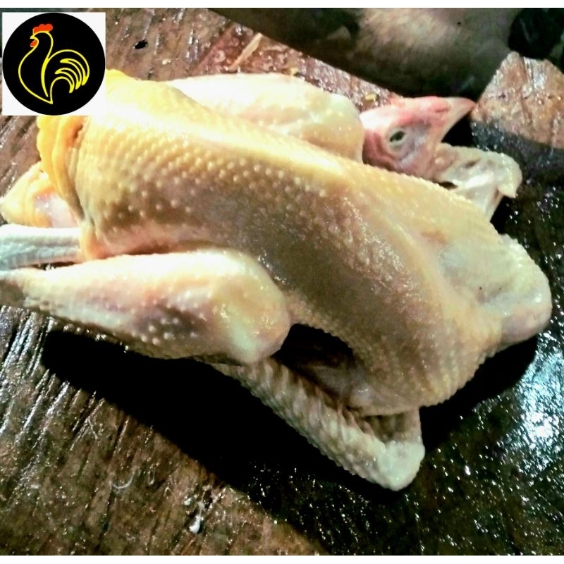 

Ayam Kampung goreng berat 500-600