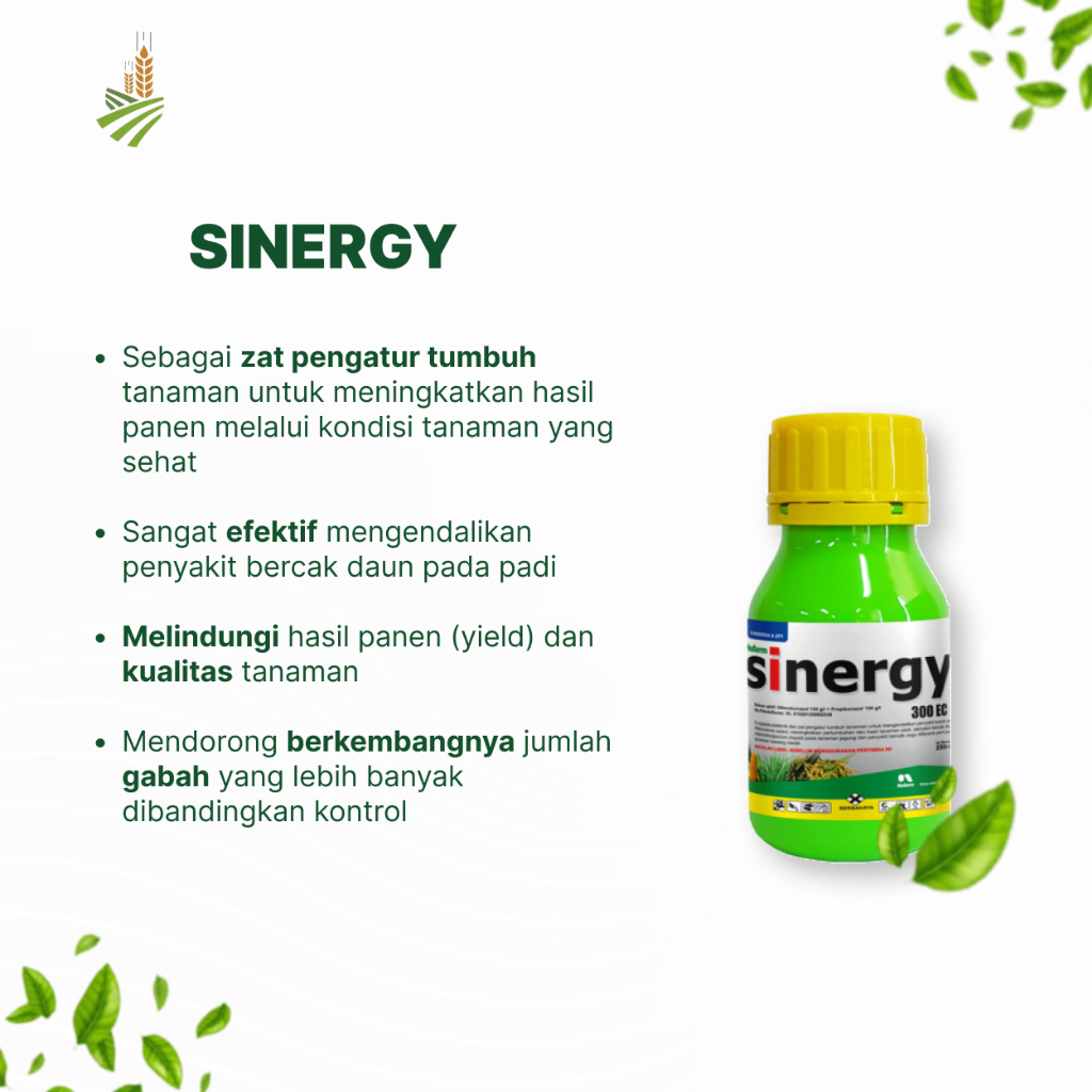 Obat Bercak Ungu pada Bawang Merah | Sinergy Fungisida Sistemik  + ZPT - 80 ml