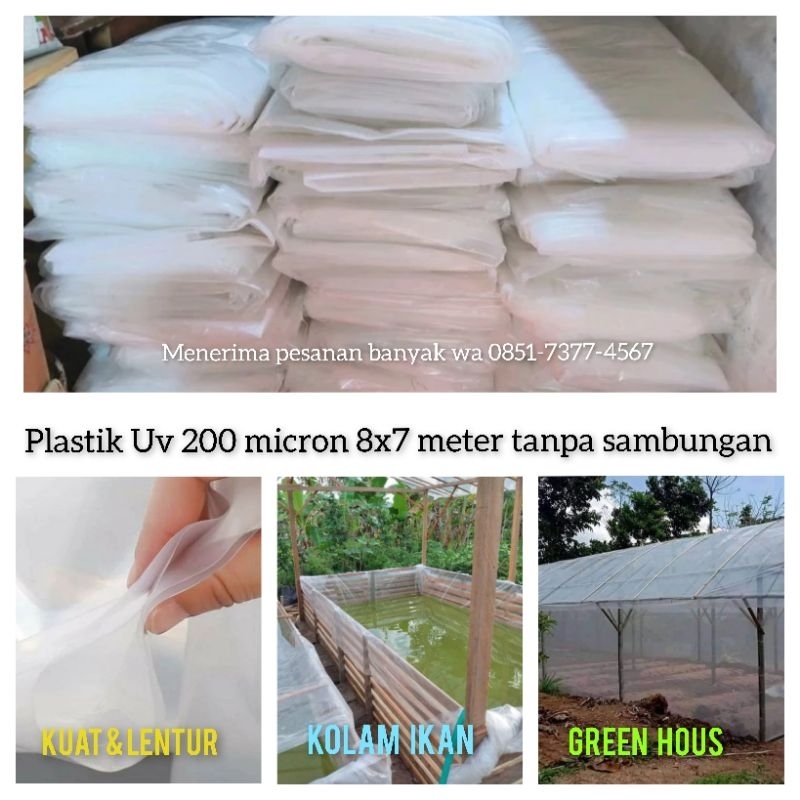 plastik UV 200 micron 8x7 meter tanpa sambungan